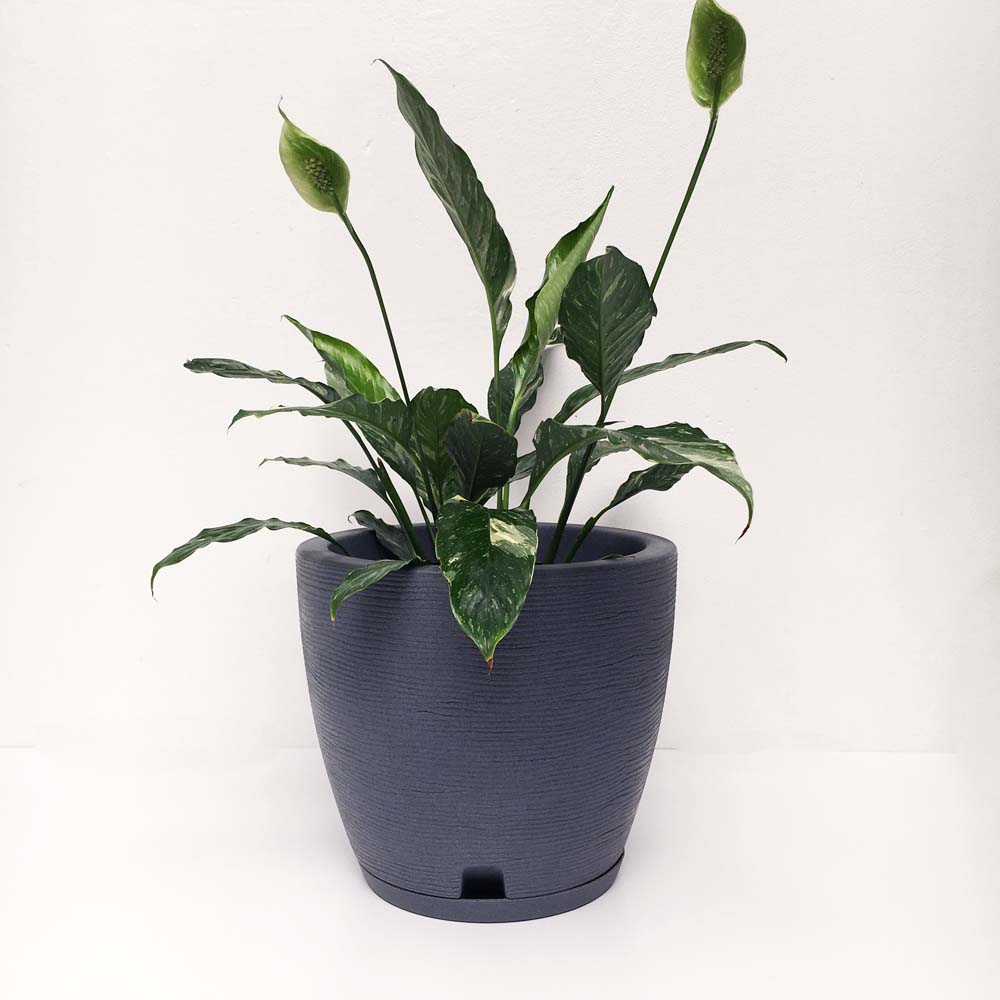 Macetero Bombe Chico Interior Exterior 28 cm