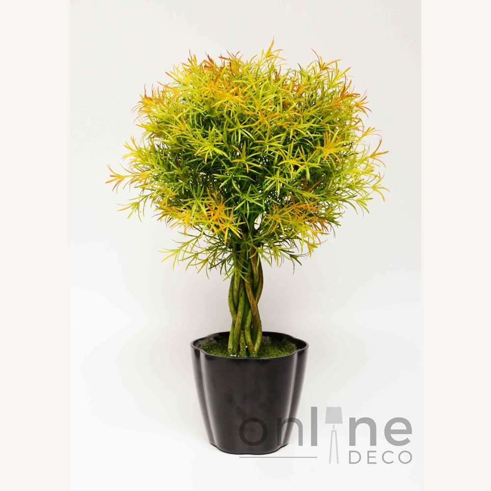 Planta Topiario Helecho 61 cm en Maceta