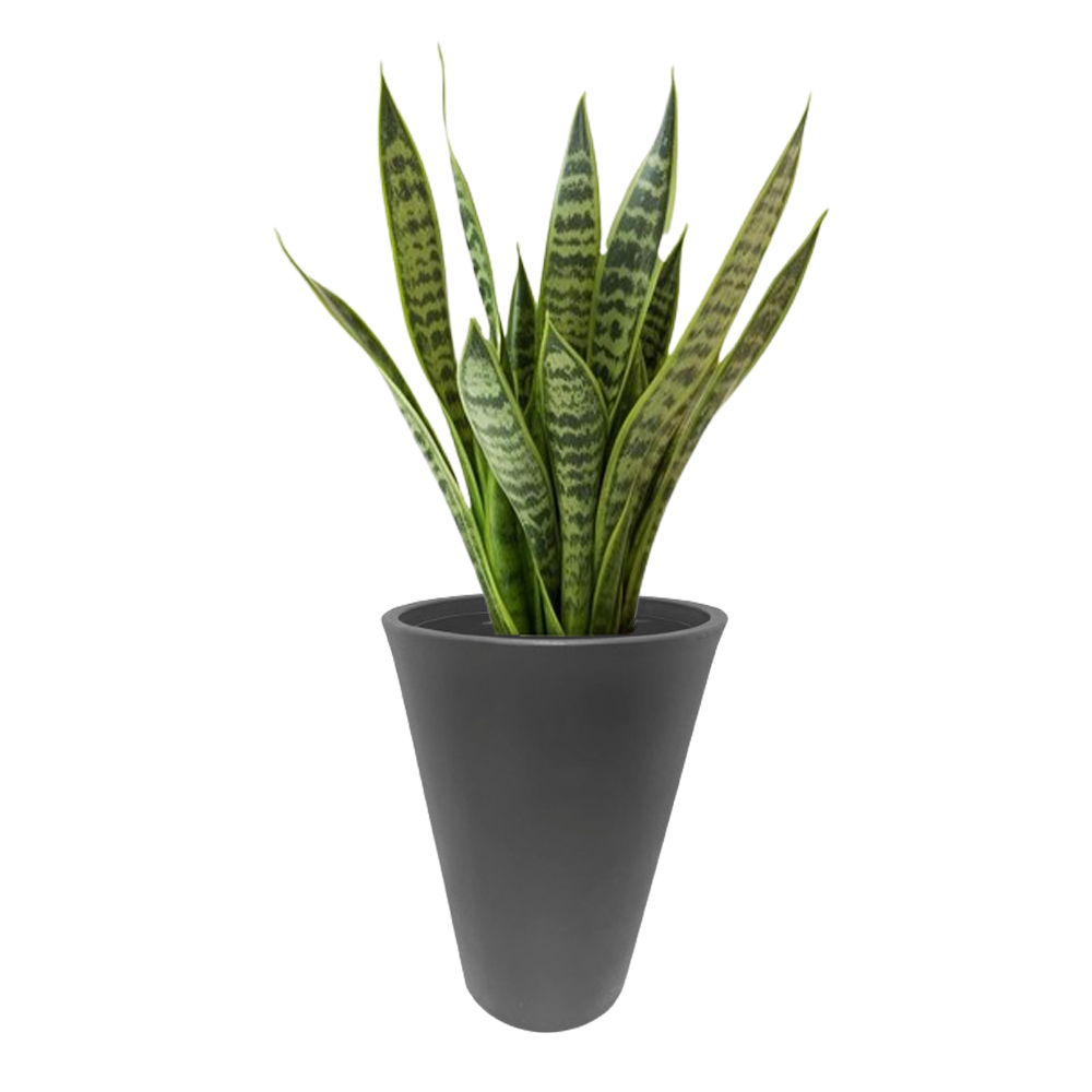 Macetero Cónico Mediano Exterior 50cm Alto Gris