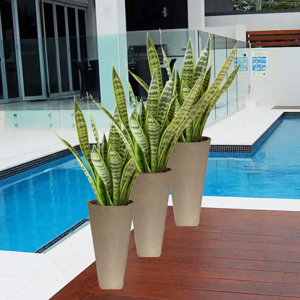 Macetero Cónico Grande Exterior 80cm Alto Marrón