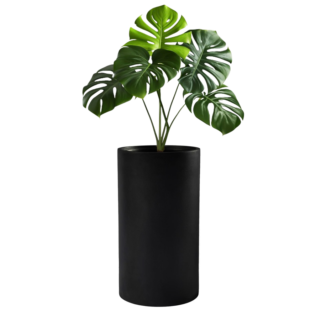 Macetero Cilindro Exterior 50cm Alto Negro - Imagen 2