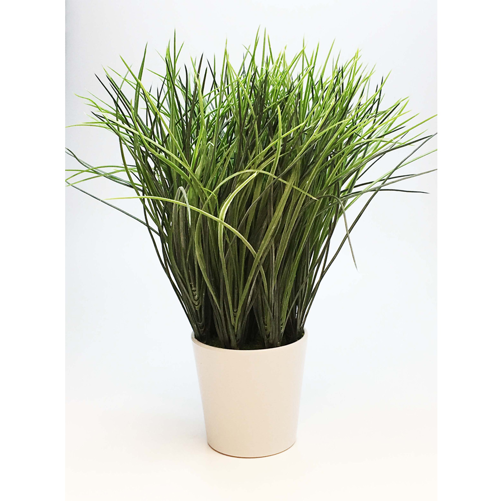 Planta Mediana Cesped en Maceta