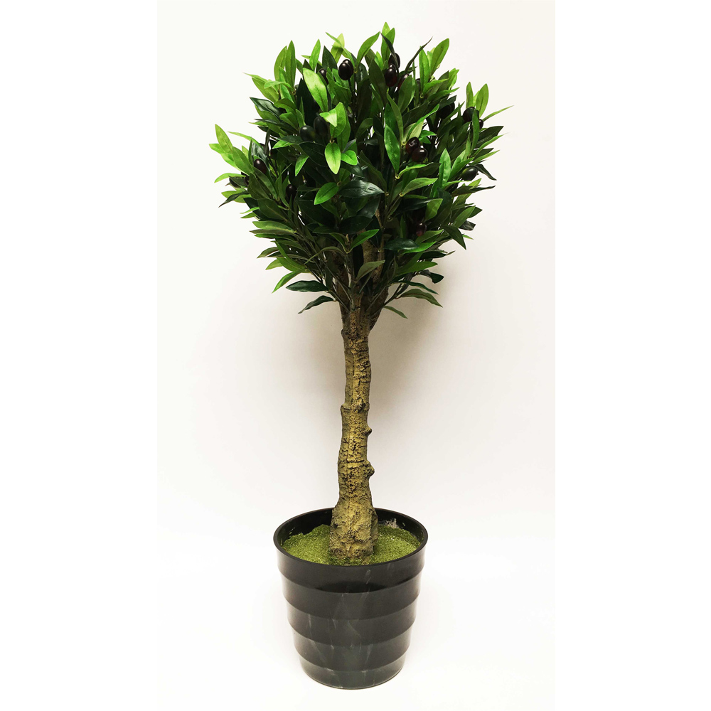 Planta Topiario Olivo en Maceta H 95 cm