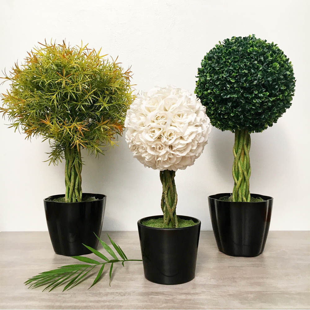 Planta Topiario Helecho 61 cm en Maceta - Imagen 2