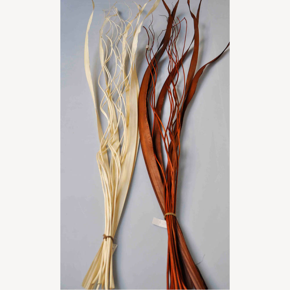 Flores Varas decorativas disecadas - Buri Willow chocolate