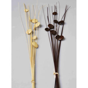 Flores Varas decorativas disecadas - Coco pleno color chocolate