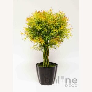 Planta Topiario Helecho 61 cm en Maceta