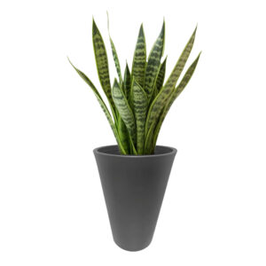 Macetero Cónico Mediano Exterior 50cm Alto Gris