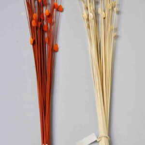 Flores Varas decorativas disecadas - Pimpollos color crudo