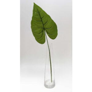 Hoja Decorativa Anthurium - Set x 6