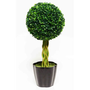 Planta Topiario Esfera Buxus en Maceta H 60 cm