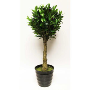 Planta Topiario Olivo en Maceta H 95 cm