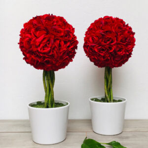 PLanta Topiario Esfera Rosas Rojas en Maceta